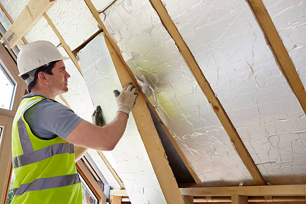 Best Eco-Friendly Insulation in Lakewood Park, TN